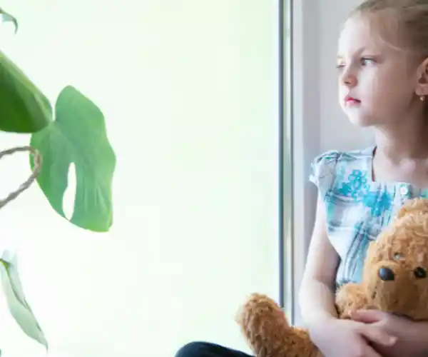 Zindelijkheidsproblemen